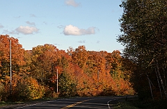 C5D_048803