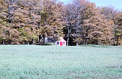 C5D_048816