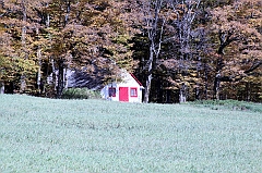 C5D_048817