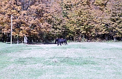 C5D_048821