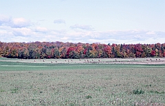 C5D_048823