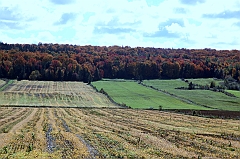 C5D_048825