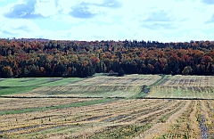 C5D_048826