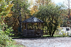 C5D_048836