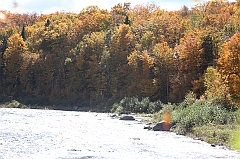 C5D_048837