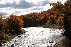 C5D_048841