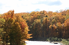 C5D_048847