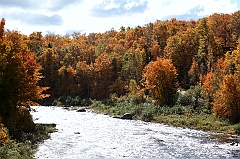 C5D_048849