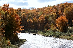 C5D_048850