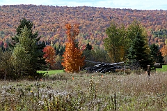 C5D_048859