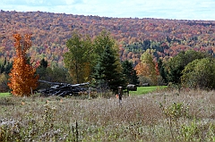 C5D_048860