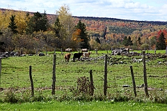 C5D_048862