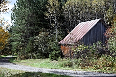 C5D_048865