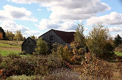 C5D_048867