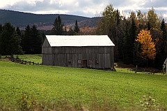 C5D_048873