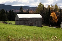C5D_048874