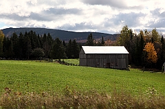C5D_048875