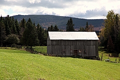 C5D_048876