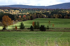 C5D_048880