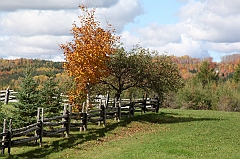 C5D_048881