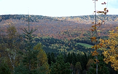 C5D_048882