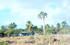 C5D_091533