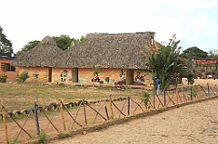 C5D_091540