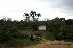 C5D_091551