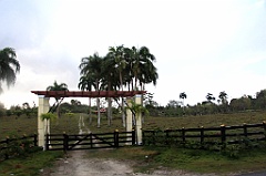 C5D_091568