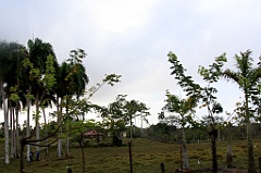 C5D_091569