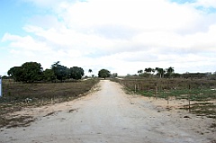 C5D_091609