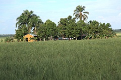 C5D_091614