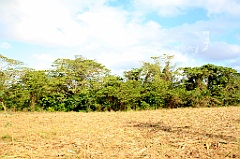 C5D_091619