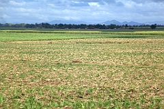 C5D_091622