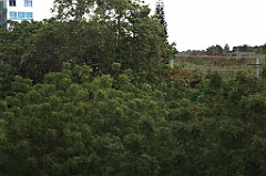 C5D_091638