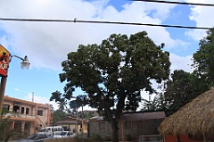 C5D_091650