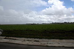 C5D_091666