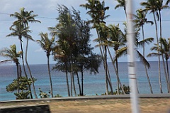 C5D_091677