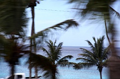 C5D_091684