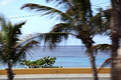 C5D_091686