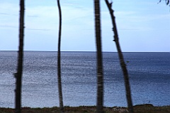C5D_091692