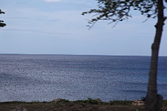 C5D_091693