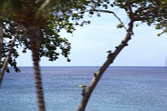 C5D_091696