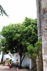 C5D_091831