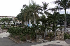C5D_091891