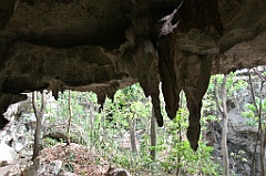 C5D_091974