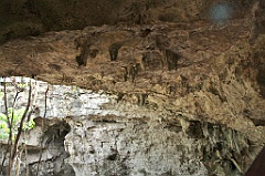 C5D_091975