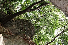 C5D_091978