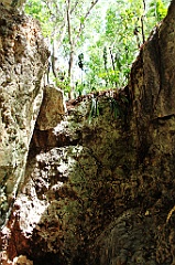 C5D_091984