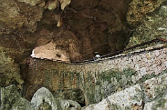 C5D_091985